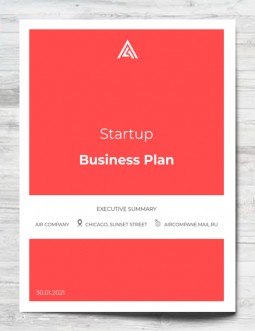 Amazing Startup Business Plan  - free Google Docs Template - 384