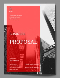 Red Professional Business Proposal 