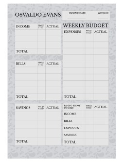 Simple Weekly Budget - free Google Docs Template - 881