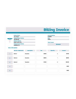 Medical Billing Invoice - free Google Docs Template - 1484
