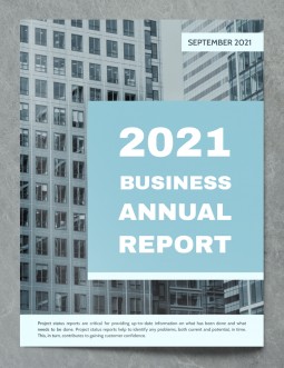 Perfect Business Annual Report - free Google Docs Template - 540