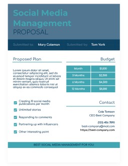 Social Media Management  Business Proposal
