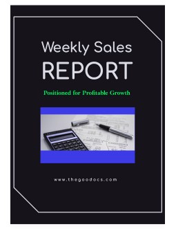 Weekly Sales Report - free Google Docs Template - 2613