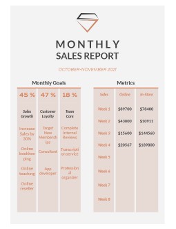 Monthly Sales Report - free Google Docs Template - 799