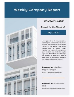 Weekly Company Report - free Google Docs Template - 3665