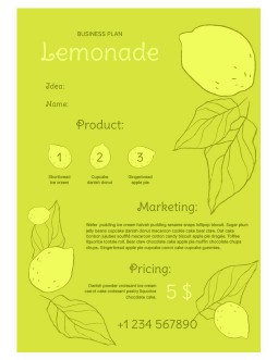 Green Lemon Business Plan