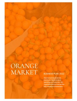 Orange Market Business Plan