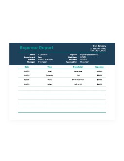Simple Elegant Expense Report - free Google Docs Template - 2558