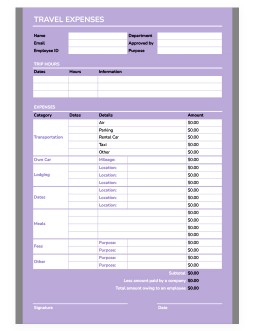 Light Purple Expense Report - free Google Docs Template - 2559